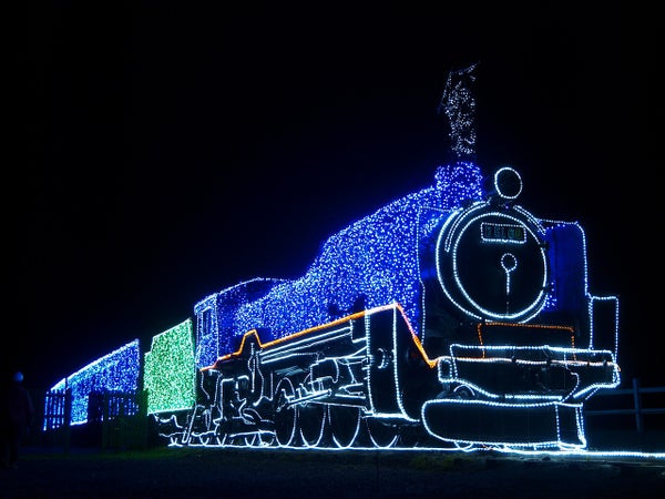 【大崎・石巻・県北エリア発】 旅のすごろく市12月(最終回) 寒さの中にこそ煌めく!2つイルミネーションミステリー(日帰り)2